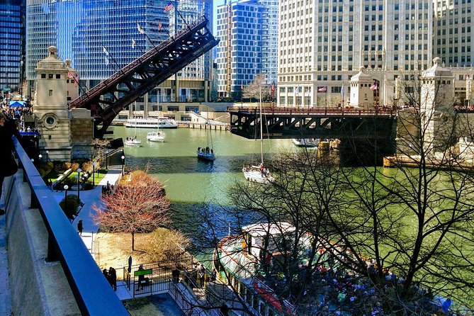 Chicago City Tour with Architecture River Cruise Option - Museum Campus: the best skyline view, and why that’s a smart stop