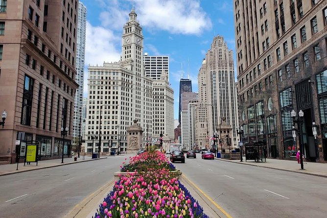 Chicago City Tour with Architecture River Cruise Option - Big skyline perspective + the Art Institute area: classic Chicago art and architecture together