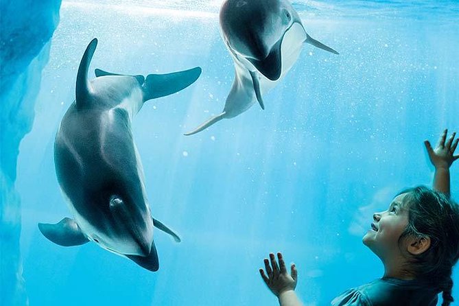 Chicago CityPASS® - Choosing your three: Field Museum, Art Institute, or 360 Chicago