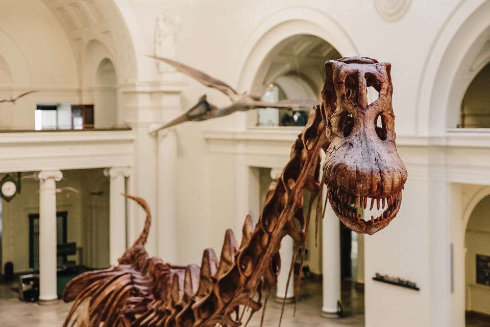 Chicago CityPASS®: Save up to 49% at 5 Top Attractions - Putting it together: a realistic 5-stop game plan