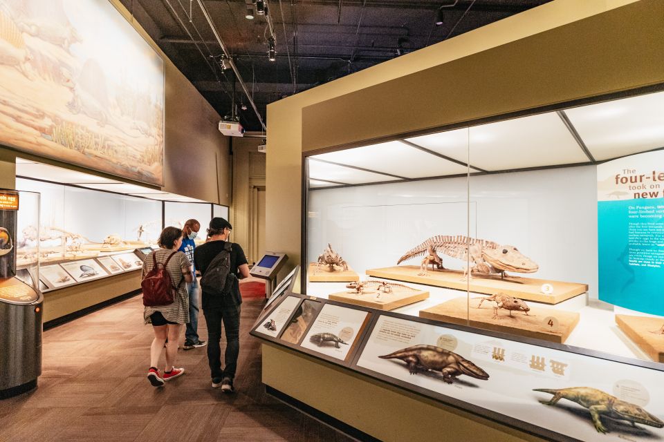 Chicago: Field Museum of Natural History Ticket or VIP Tour - When the Upgrades Go Sideways: Things to Watch For