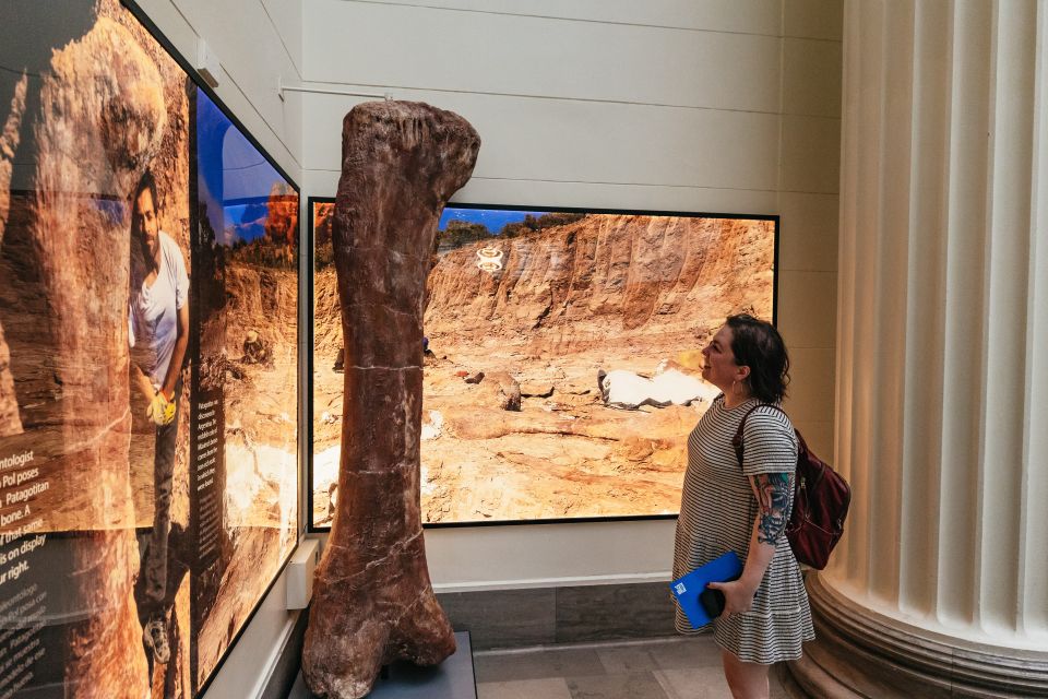 Chicago: Field Museum of Natural History Ticket or VIP Tour - What This Ticket Really Covers (and Why It Matters)