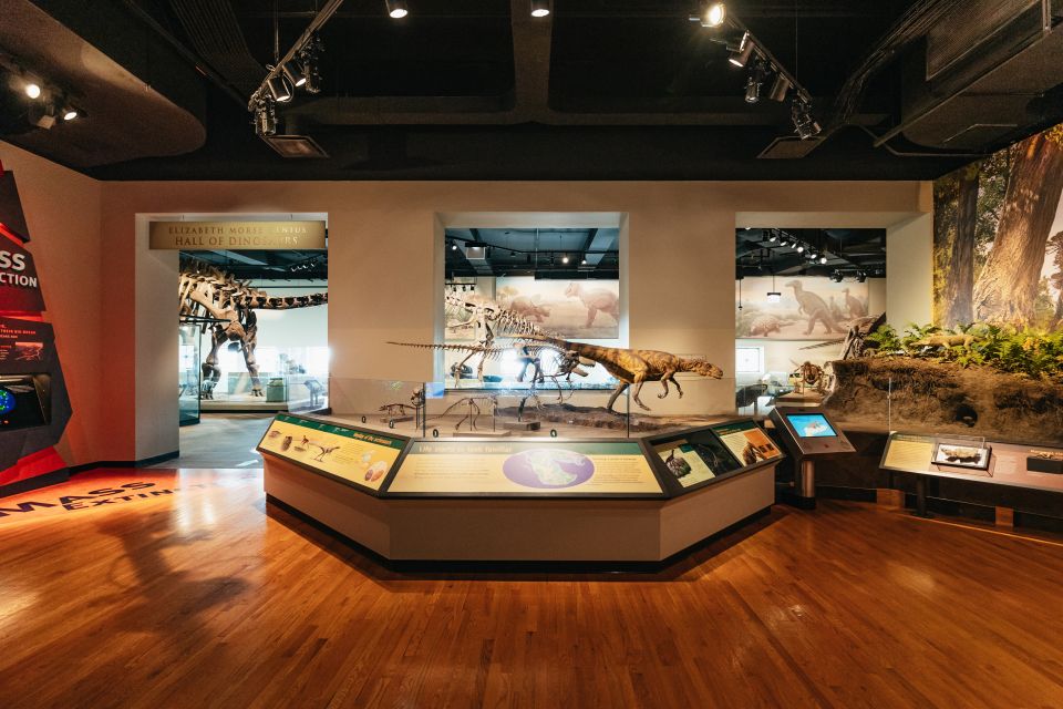 Chicago: Field Museum of Natural History Ticket or VIP Tour - Underground Adventure, Gems, and Jade: The Museum’s Best Side Quests