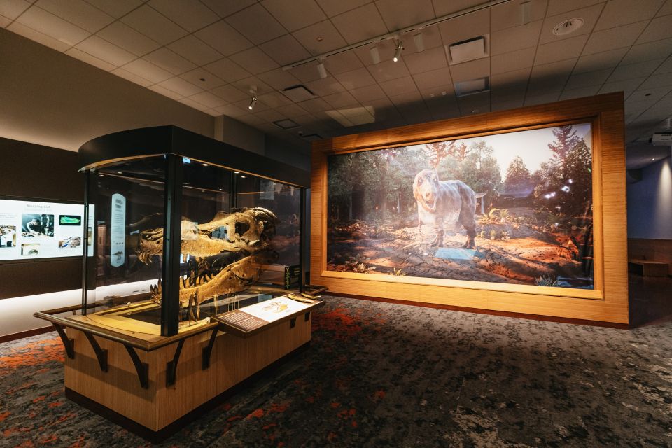 Chicago: Field Museum of Natural History Ticket or VIP Tour - Lions of Tsavo and the Mastaba Tomb: Two Stops That Feel Like Travel