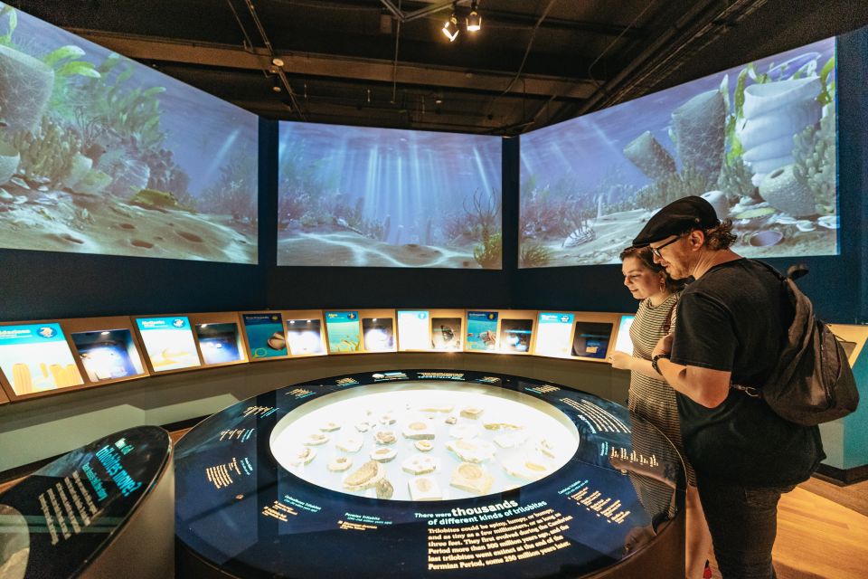 Chicago: Field Museum of Natural History Ticket or VIP Tour - Early Access VIP: Be First, See the Dinosaurs, Then Roam