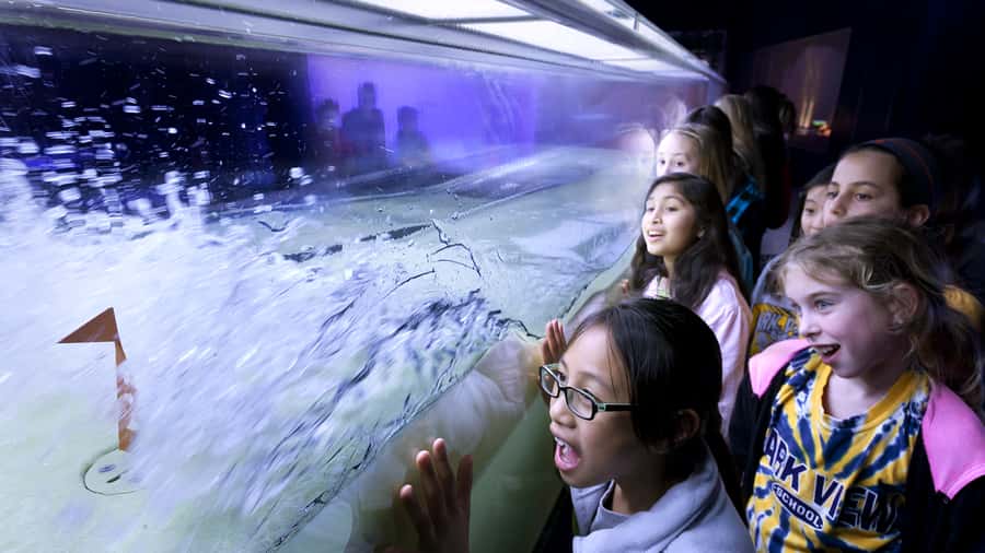 Chicago: Griffin Museum of Science and Industry Ticket - Weather science you can control: tornadoes, lightning, fire, and tsunamis