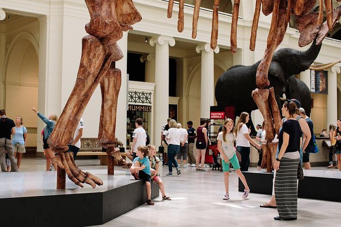 Field Museum of Natural History Admission Tickets - Underground Adventure: Shrinking to Explore a Subterranean World