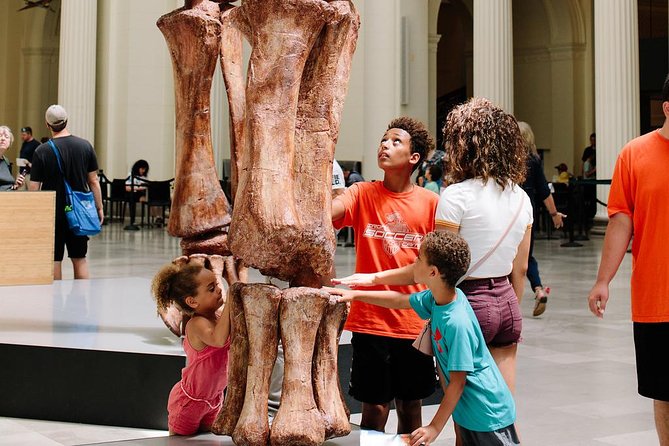 Field Museum of Natural History Admission Tickets - Ticketed Exhibits and Docent Tours: How to Get More Out of 4 Hours
