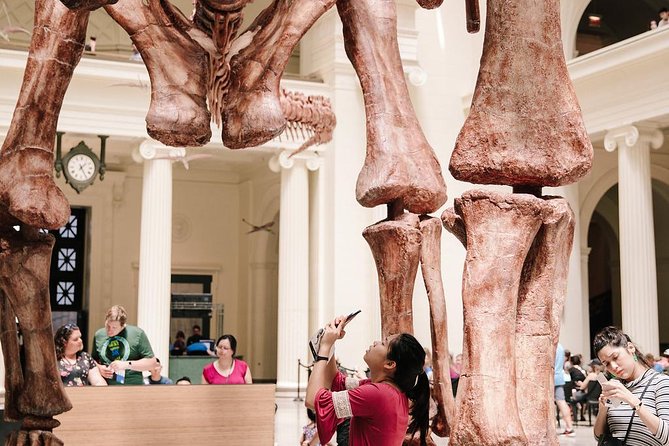 Field Museum of Natural History Admission Tickets - Inside Ancient Egypt: Mummies and 5,000-Year-Old Hieroglyphics