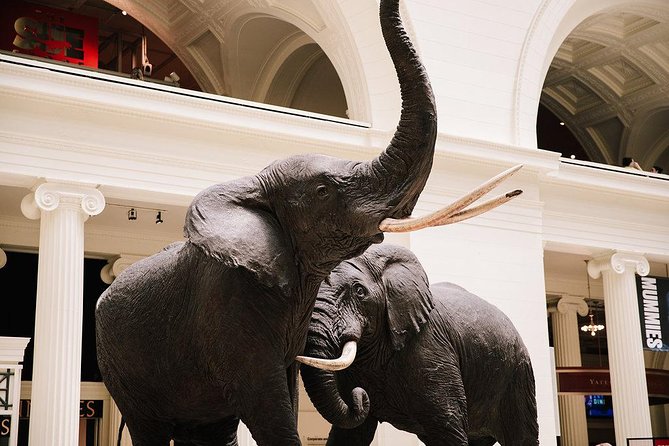 Field Museum of Natural History All-Access Pass - Key things that make this pass worth your time