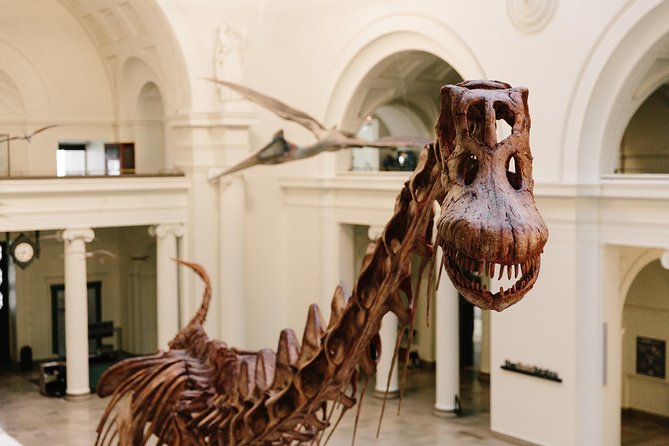 Field Museum of Natural History All-Access Pass - Choose your entry time, then respect the clock