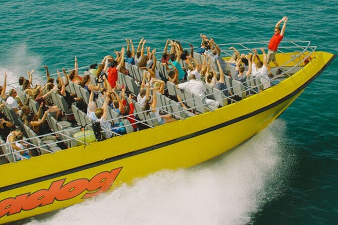 Lake Michigan 30-Minute Speedboat Ride - From Navy Pier to Lake Michigan: The Real Start of the Rush