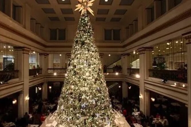Private Holiday City Tour - Private Chicago Holiday Tour: What This 3 Hours Really Buys You