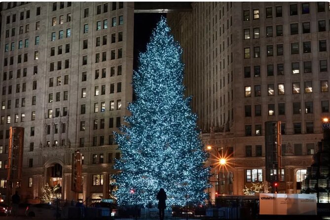 Private Holiday City Tour - Stop 2: The Loop Holiday Highlights from Christkindl Market to the Bean