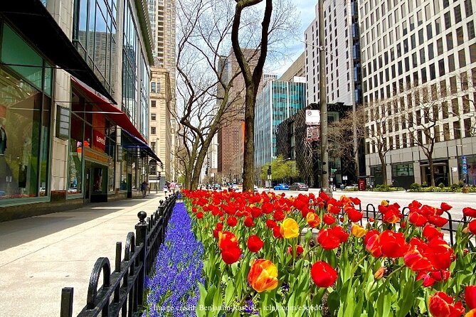 Welcome to Chicago: Private Half-Day Tour with 360 Observation Deck - Hancock Tower and your hour at 360 Chicago
